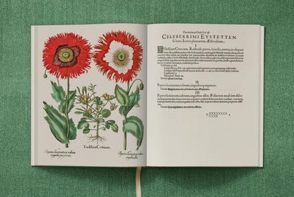 Basilius Besler. The Garden at Eichstätt (German, French, English) (FFE) Book