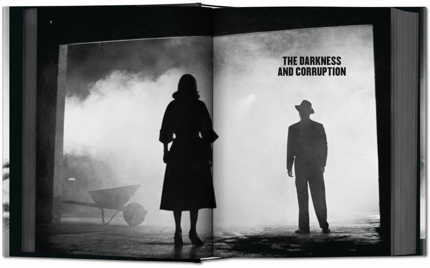 Film Noir (English) Book
