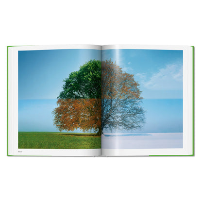 Norman Foster. Networks (English) Book
