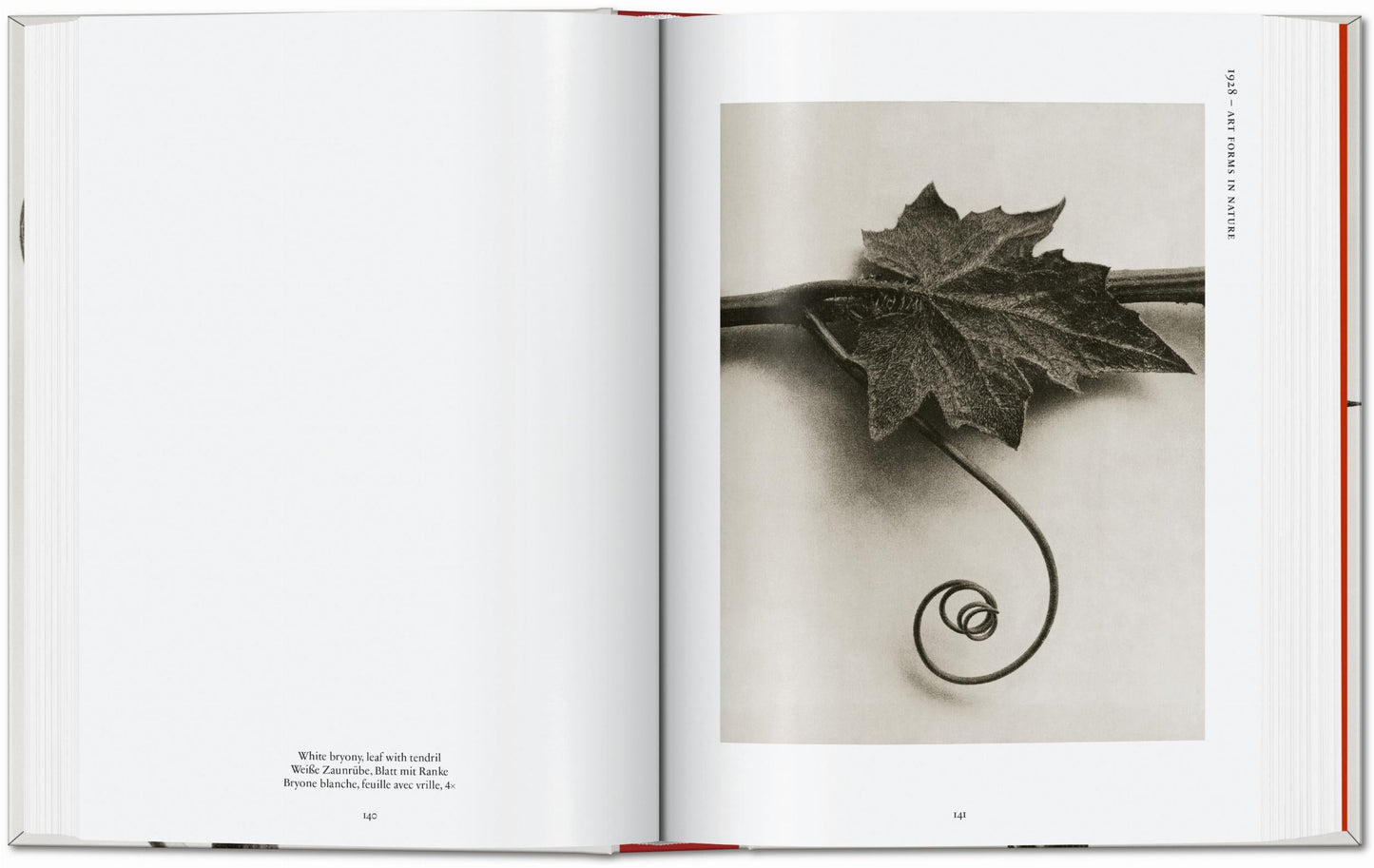 Karl Blossfeldt. The Complete Published Work. 45th Ed. (German, French, English) Book