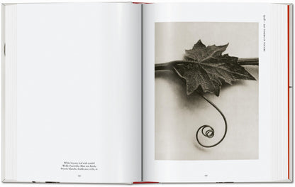 Karl Blossfeldt. The Complete Published Work. 45th Ed. (German, French, English) Book