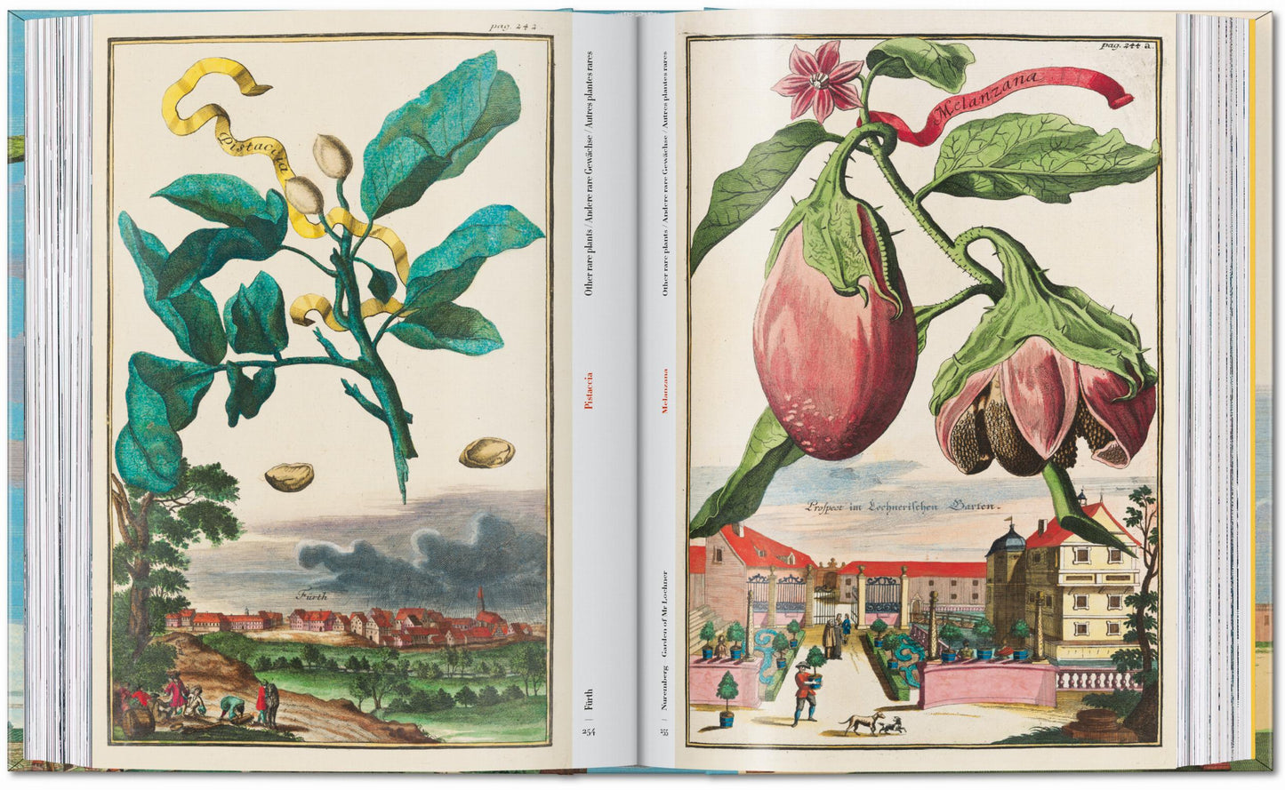 J. C. Volkamer. The Book of Citrus Fruits. 45th Ed. (German, French, English) Book