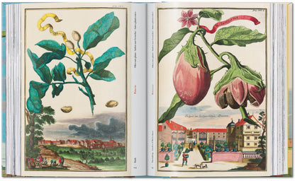 J. C. Volkamer. The Book of Citrus Fruits. 45th Ed. (German, French, English) Book