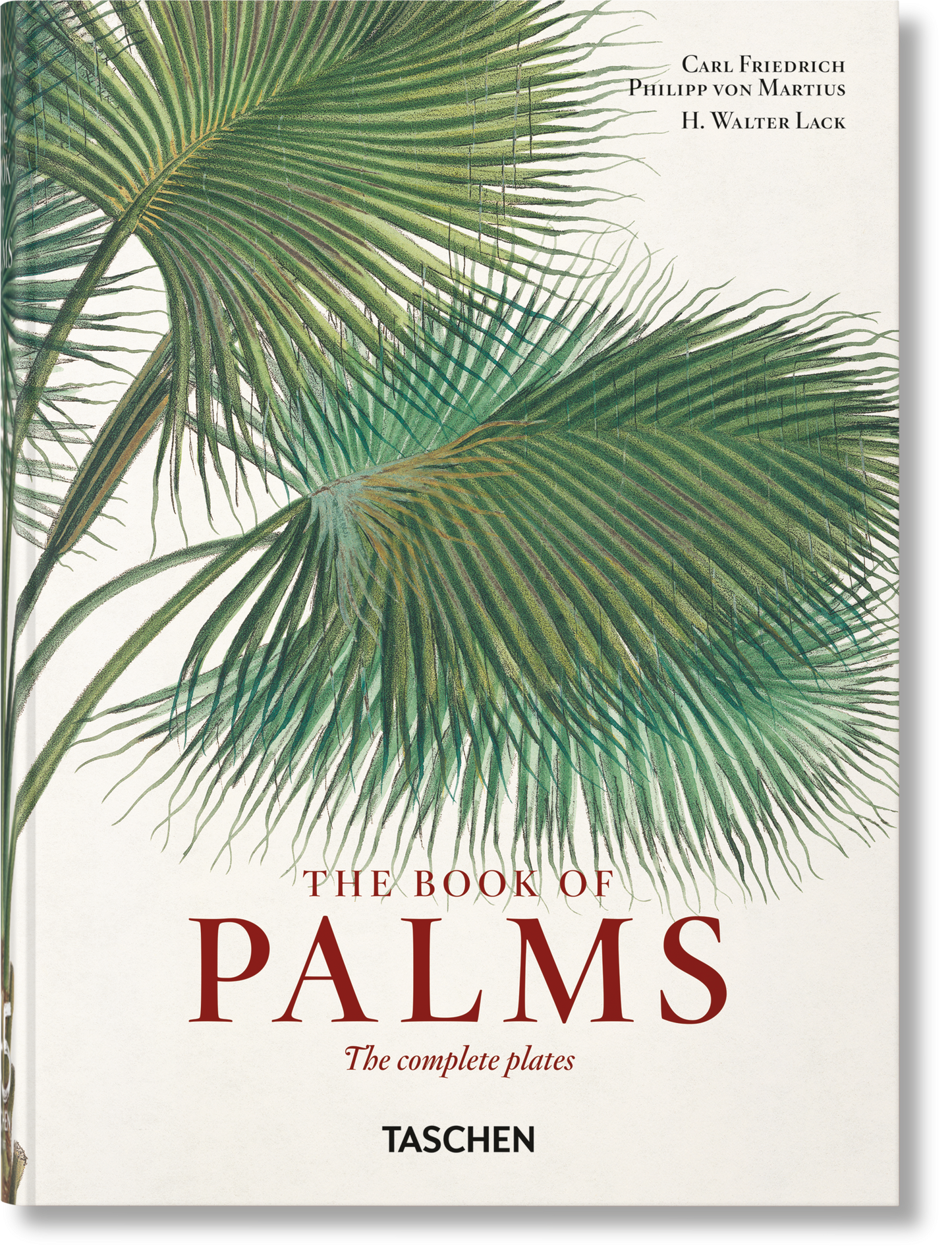 Martius. The Book of Palms. 45th Ed. (German, French, English) Book