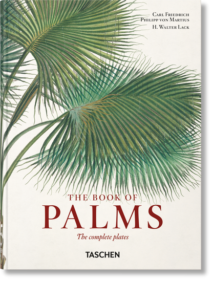 Martius. The Book of Palms. 45th Ed. (German, French, English) Book
