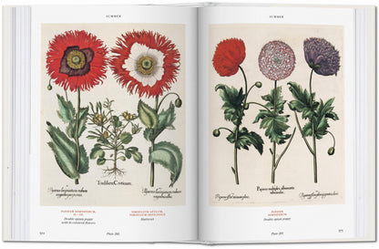 Basilius Besler. Florilegium. The Book of Plants (English) Book