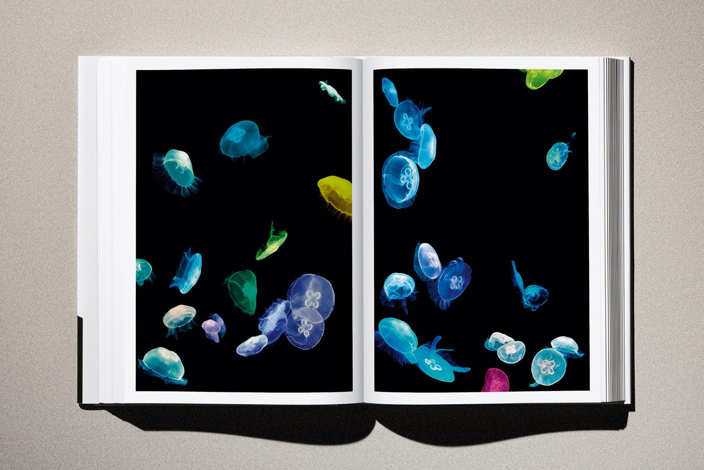 Albert Watson. Kaos (German, French, English) Book