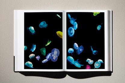 Albert Watson. Kaos (German, French, English) Book
