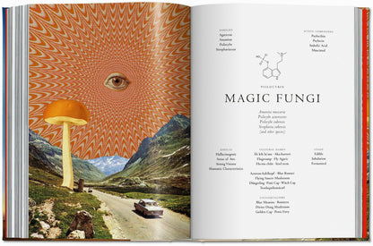 Plant Magick. The Library of Esoterica (English) Book