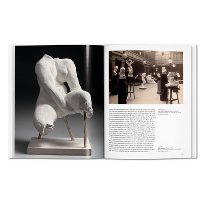 Rodin (English) Book