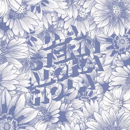 Aloha Hola Music CD