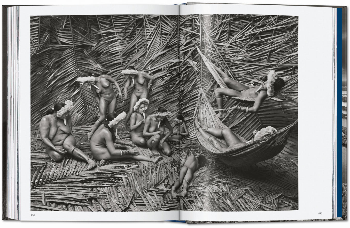 Sebastião Salgado. Amazônia. 45th Ed. (English) Book
