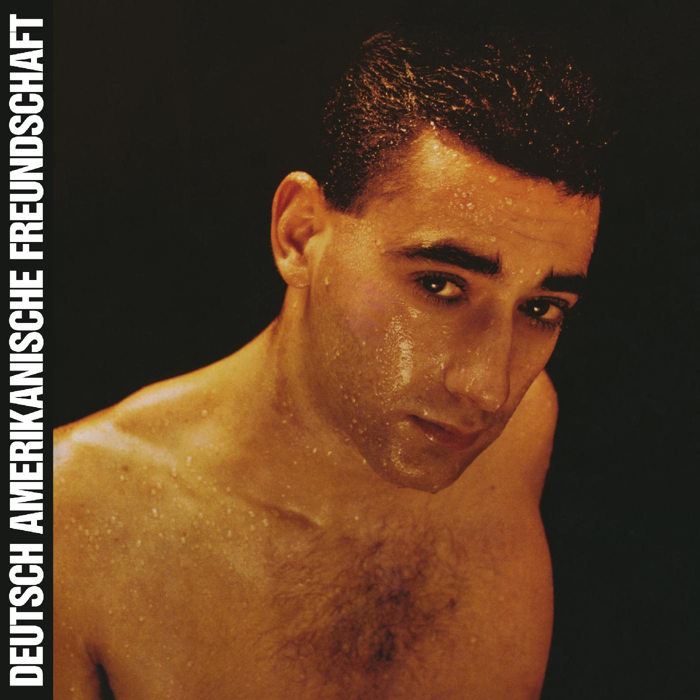 DAF - Alles Ist Gut Vinyl Record