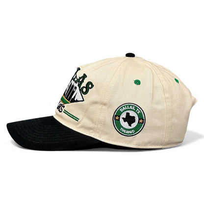 Dallas Snapback Hat - The Modano