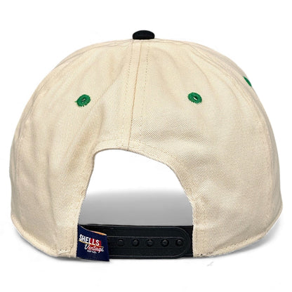 Dallas Snapback Hat - The Modano