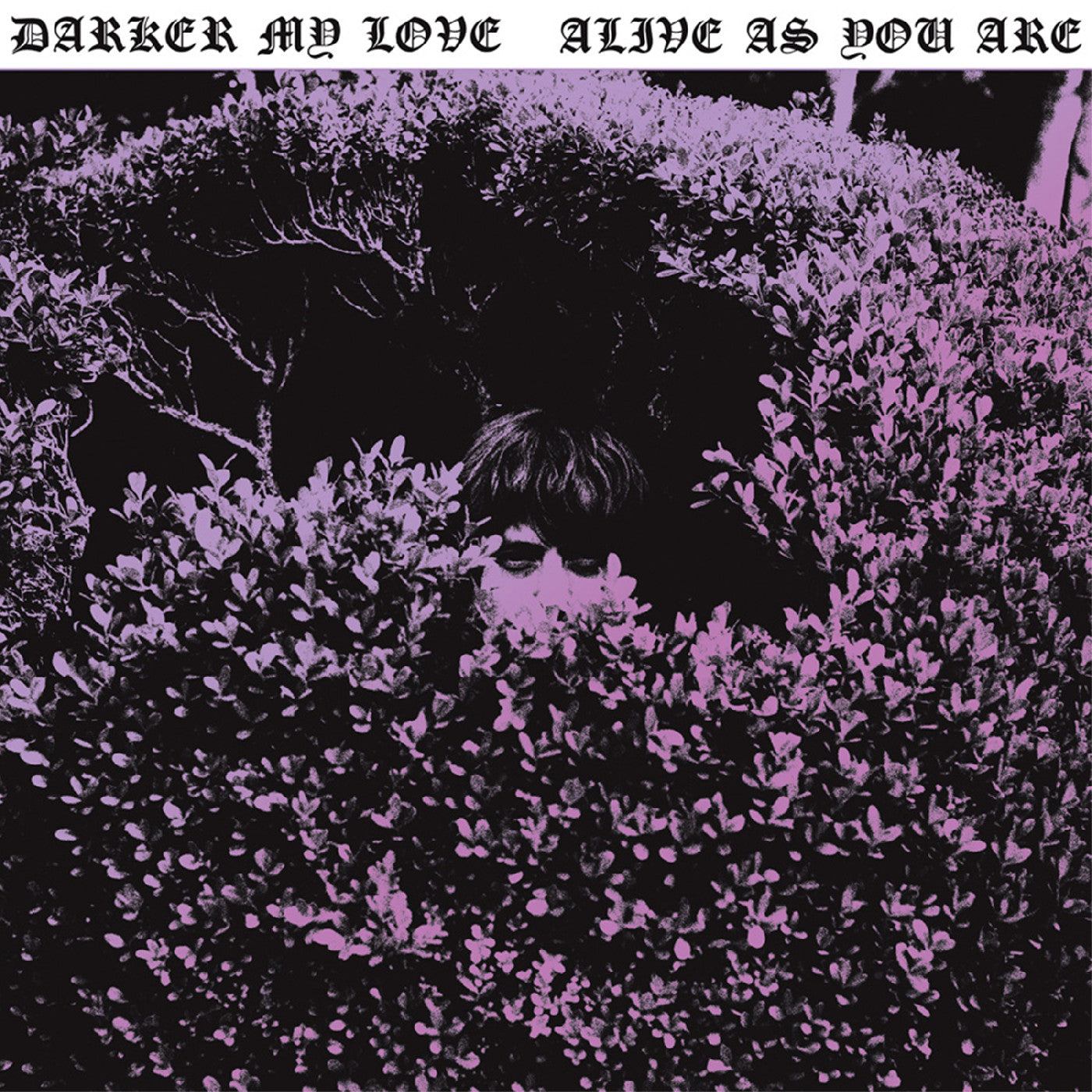 Darker My Love - Alive As You Are [Vinyl] Vinyl Record