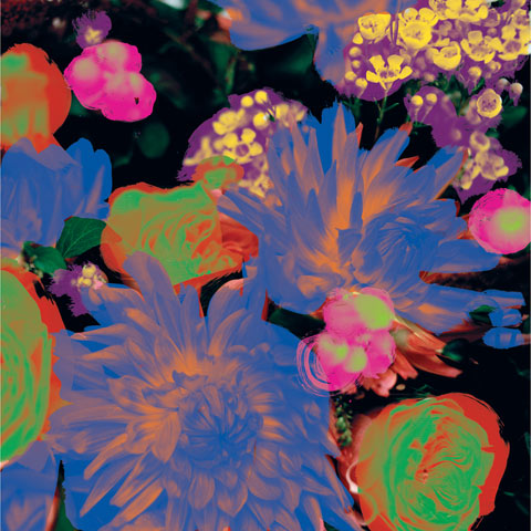 Timeaway Vinyl Record