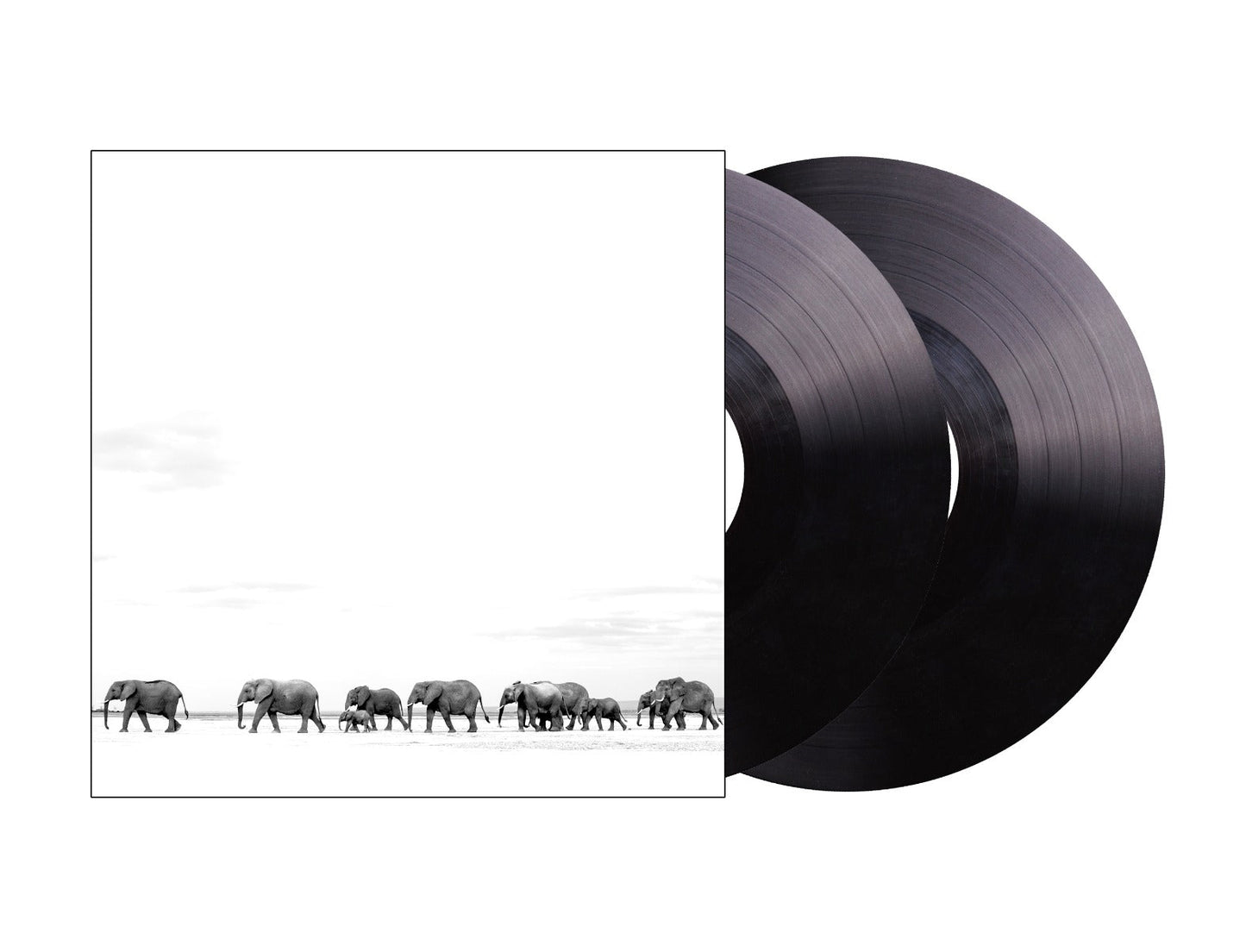 Where Are You Going: The Singles (2LP) Vinyl Record