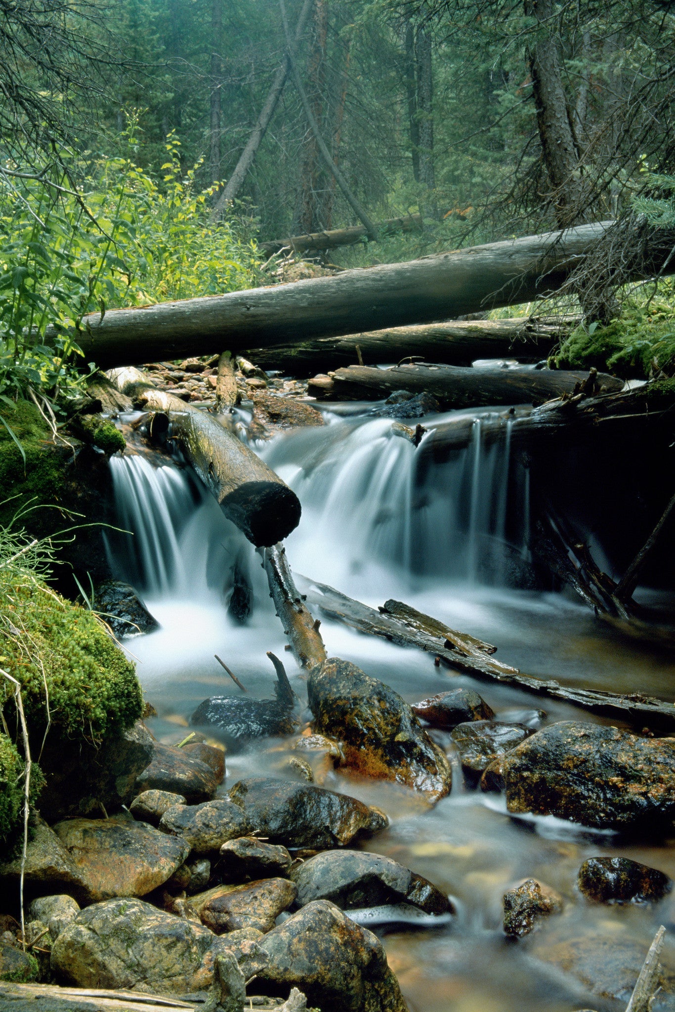 Capture My Colorado: Aspen Book