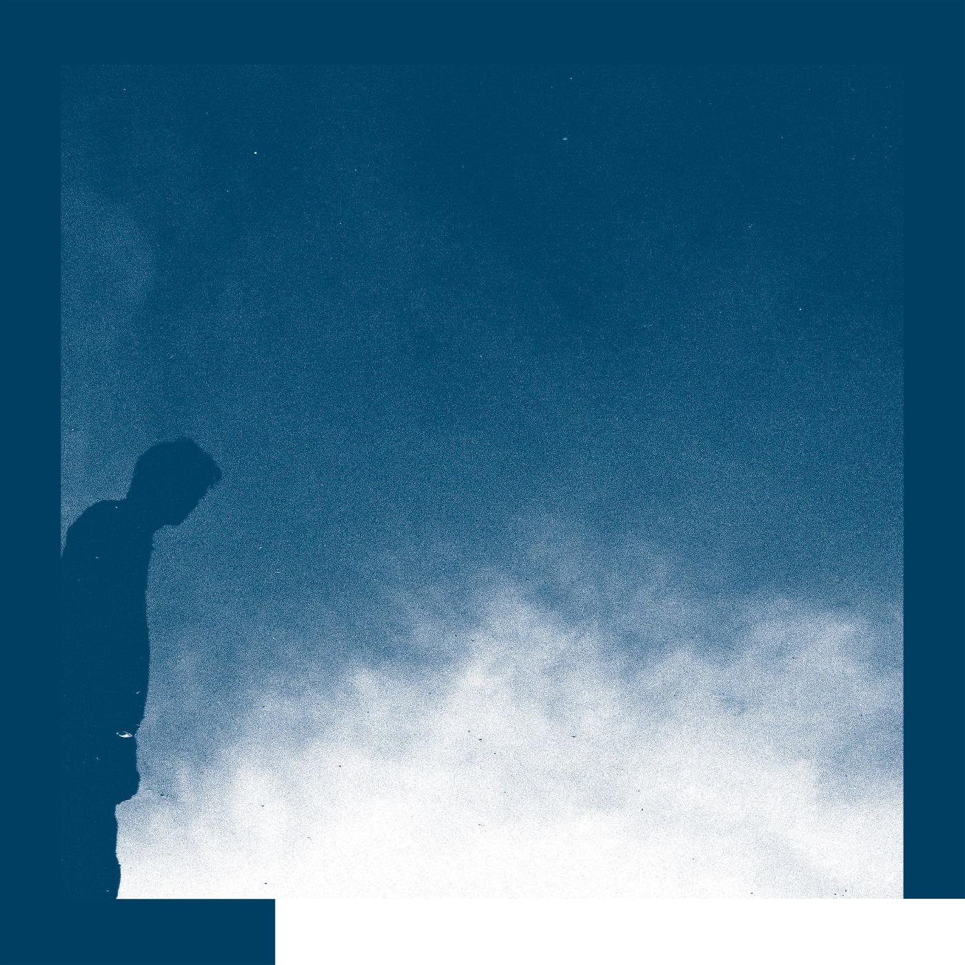 David Allred - The Transition Vinyl Record