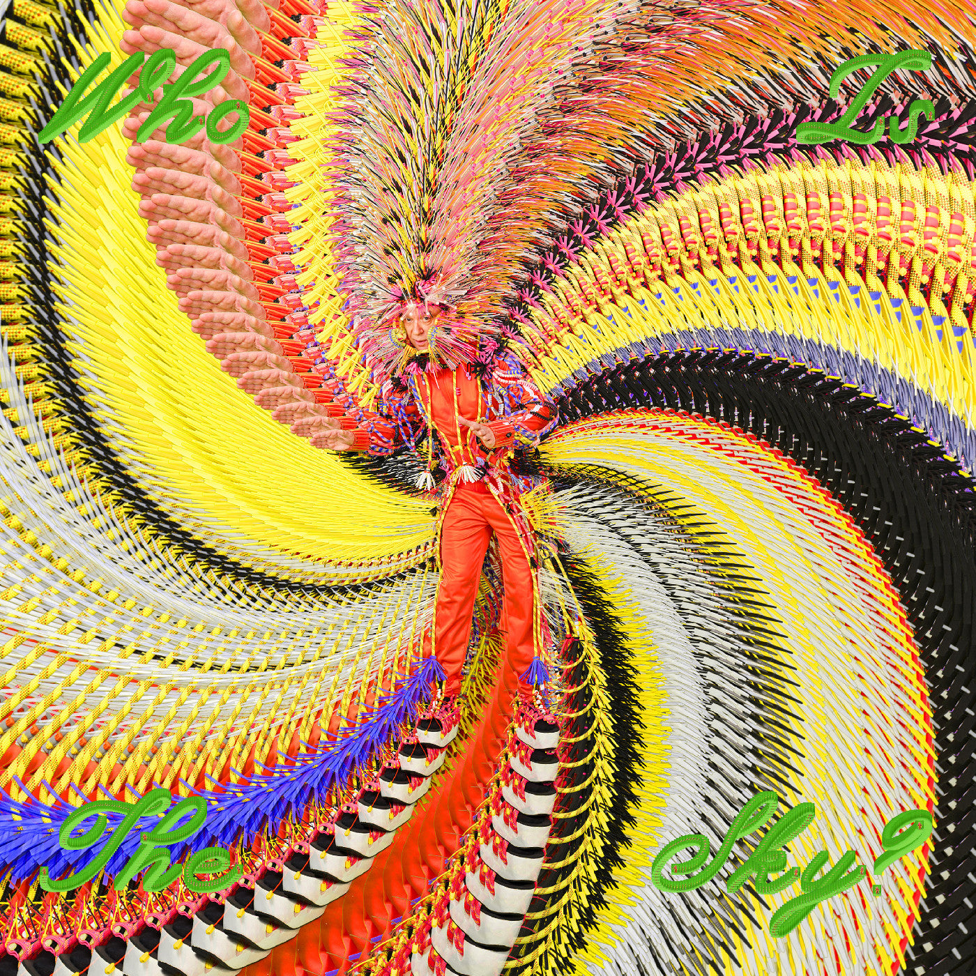 RE-ORDER 9/5/25) Who Is The Sky?  Vinyl Record