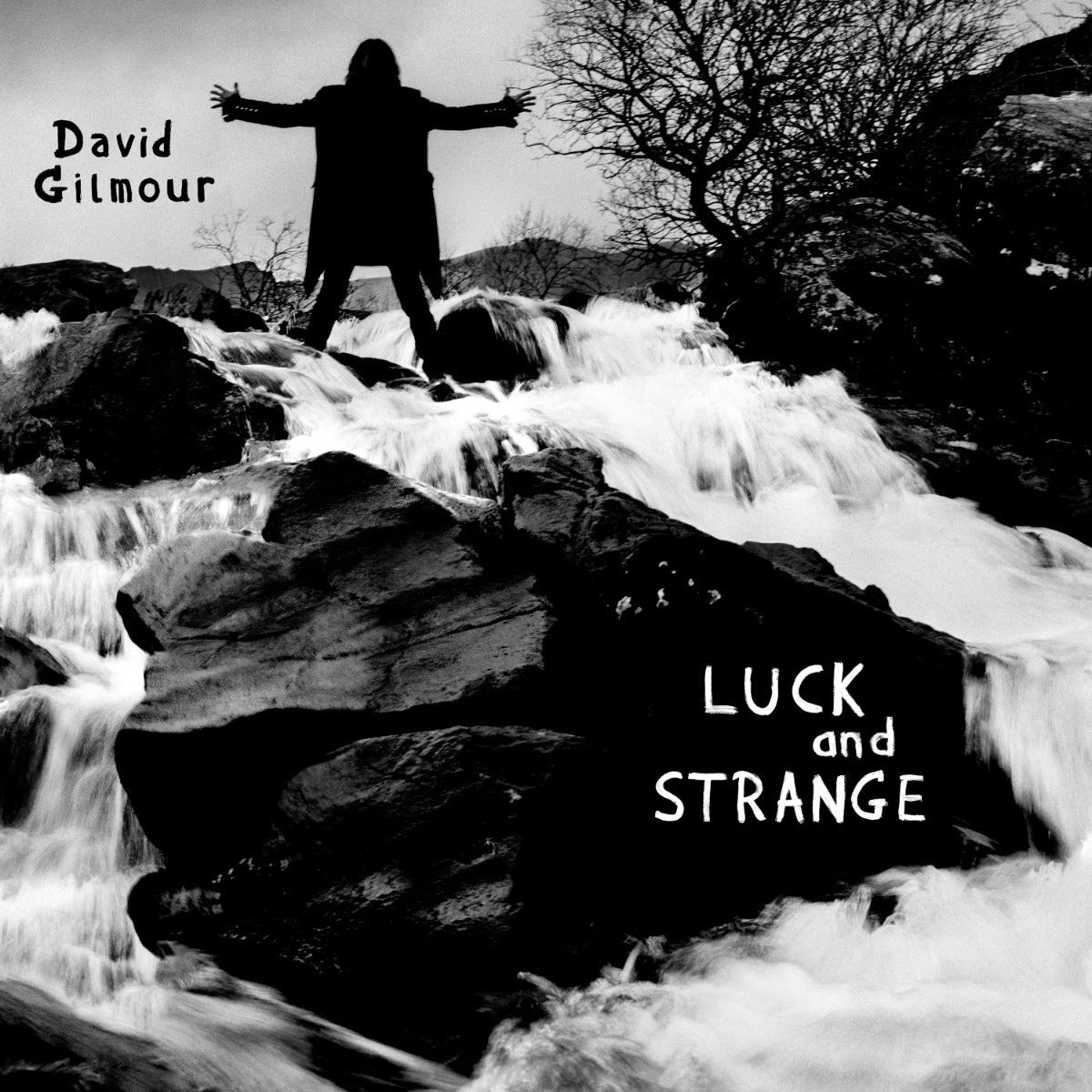 David Gilmour - Luck and Strange Vinyl Record