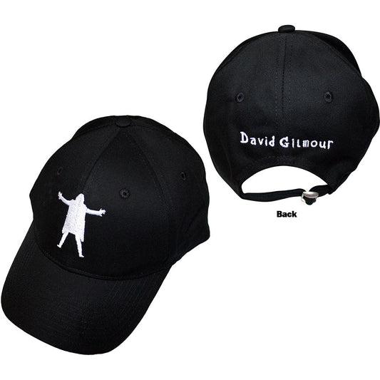 David Gilmour Luck & Strange Hat