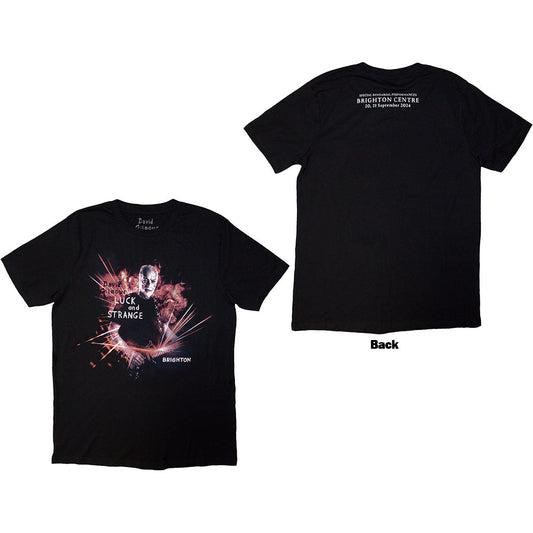 David Gilmour Luck & Strange Brighton [T-Shirt] Officially Licensed