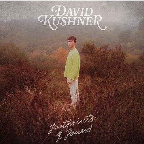 Footprints I Found [Silver Metallic/Brown-Yellow Splatter LP] Vinyl Record