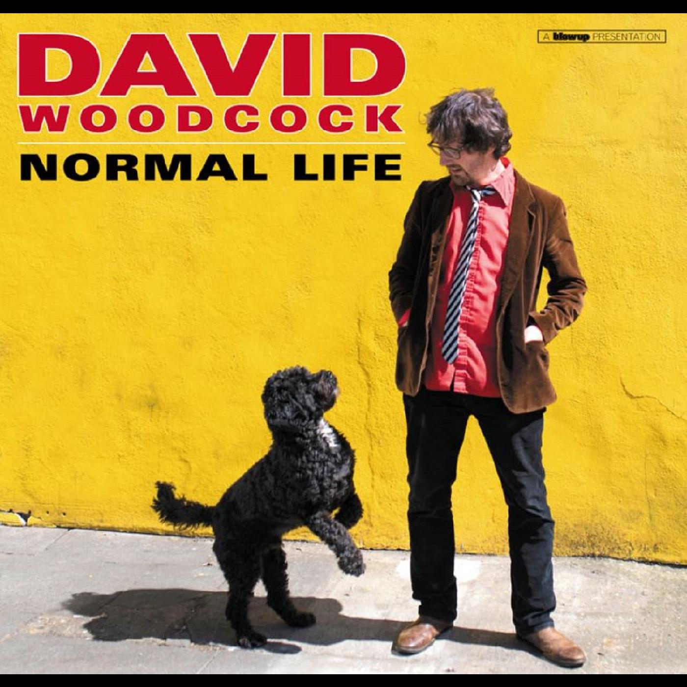 David Woodcock - Normal Life Vinyl Record
