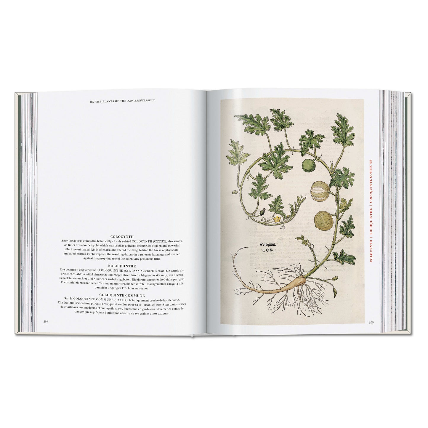 Leonhart Fuchs. The New Herbal (German, French, English) Book