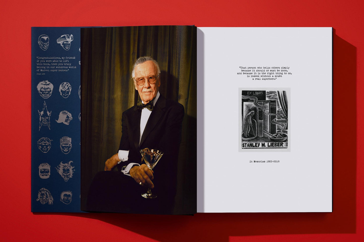 The Stan Lee Story (English) Book