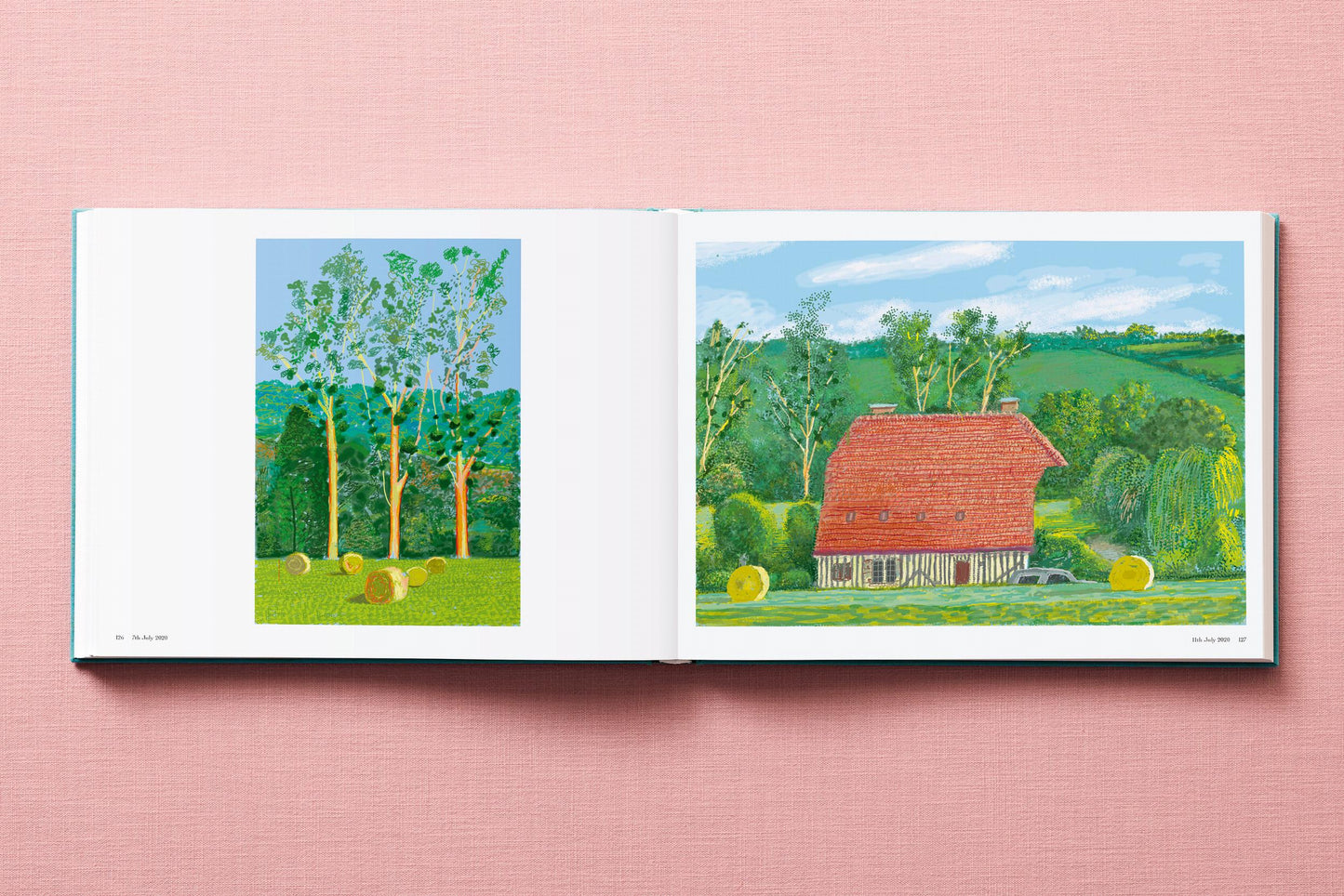 David Hockney. 220 for 2020 (English) Book