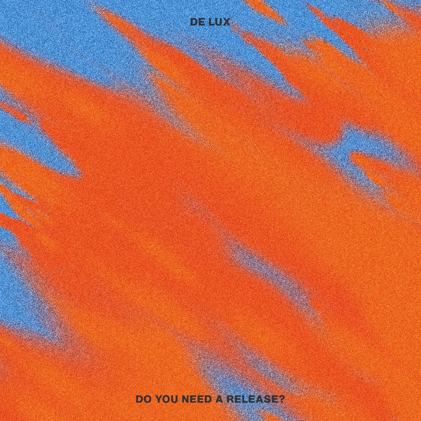 Do You Need A Release? Vinyl Record