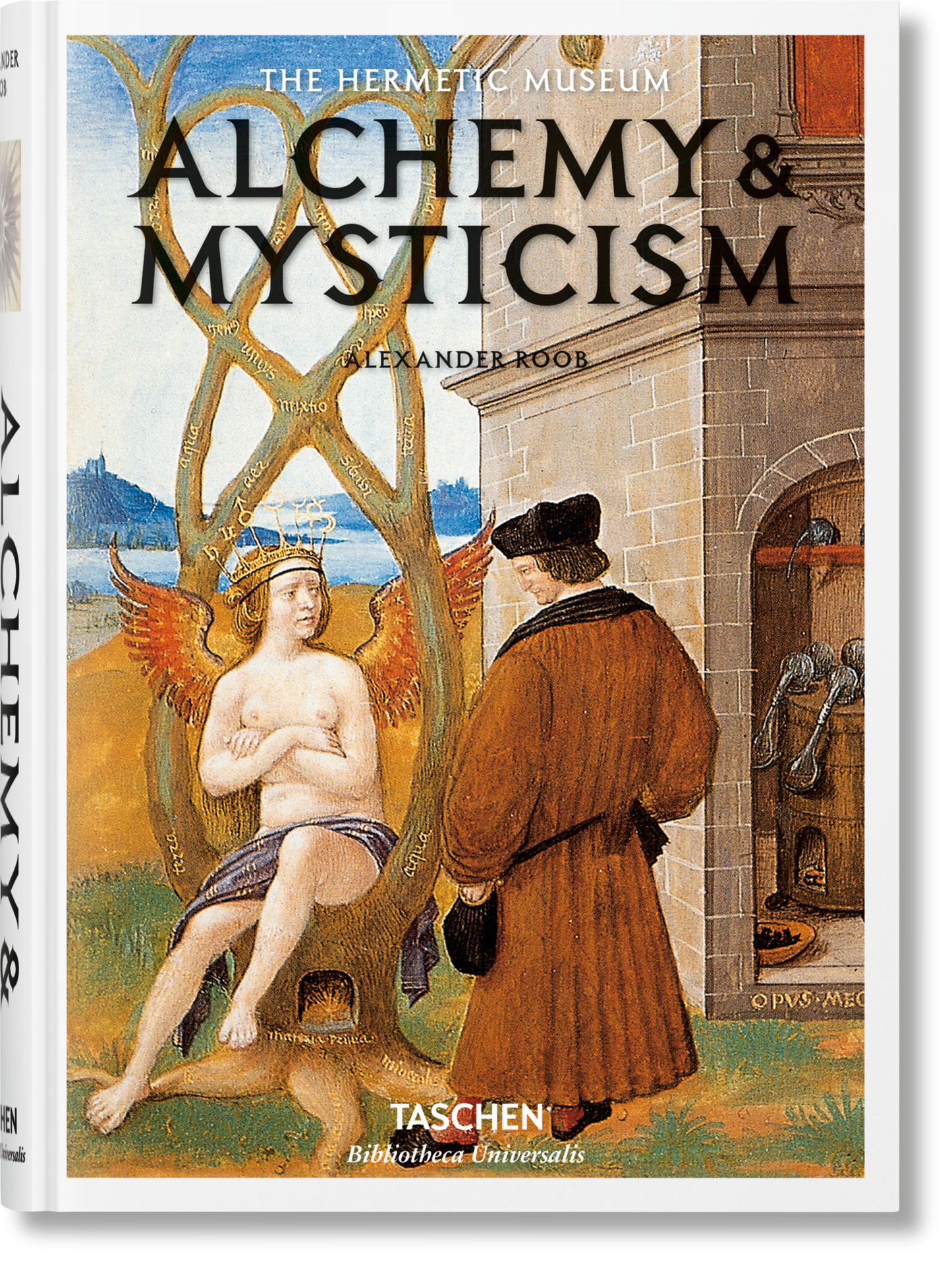 Alchemy & Mysticism (English) Book