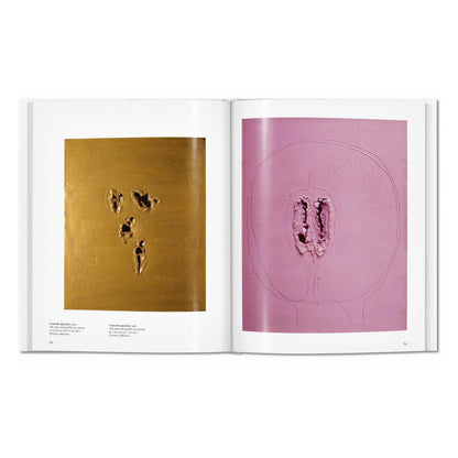 Fontana (English) Book