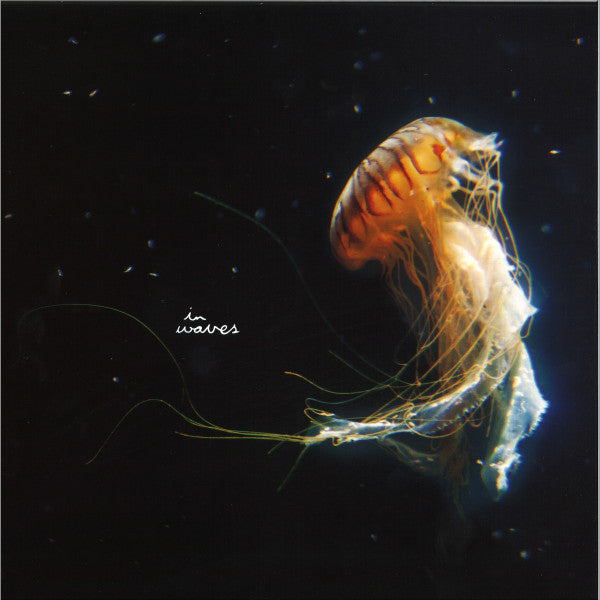 A Dance Of The Wind Vinyl Record