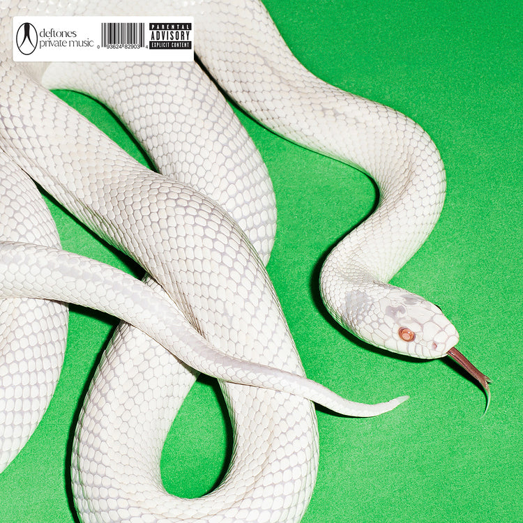 Private Music [Standard Black Vinyl] [Vinyl] Vinyl Record