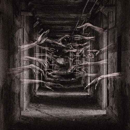Demonic Possessor - Porous Chambers [Vinyl] Vinyl Record