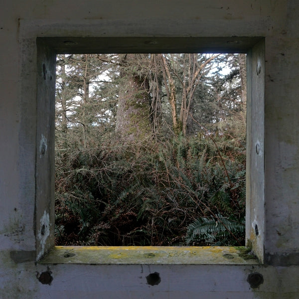 DEREK HUNTER WILSON - ScuLPtures [LP] [Vinyl] Vinyl Record