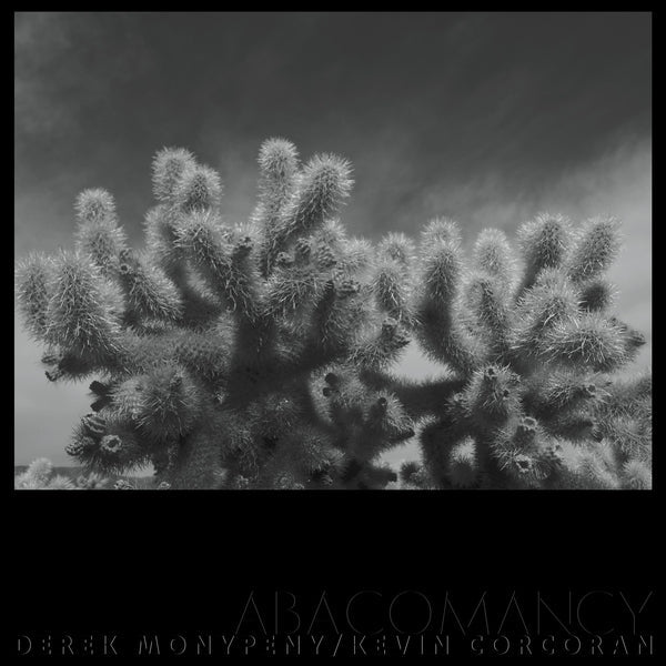 Derek Monypeny And Kevin Corcoran - Abacomancy [LP] [Vinyl] Vinyl Record