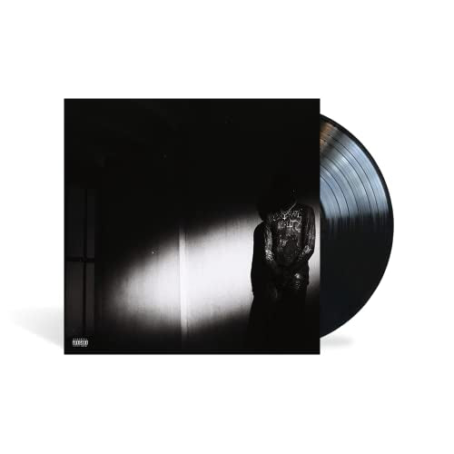 NO STYLIST [LP] [Vinyl] Vinyl Record