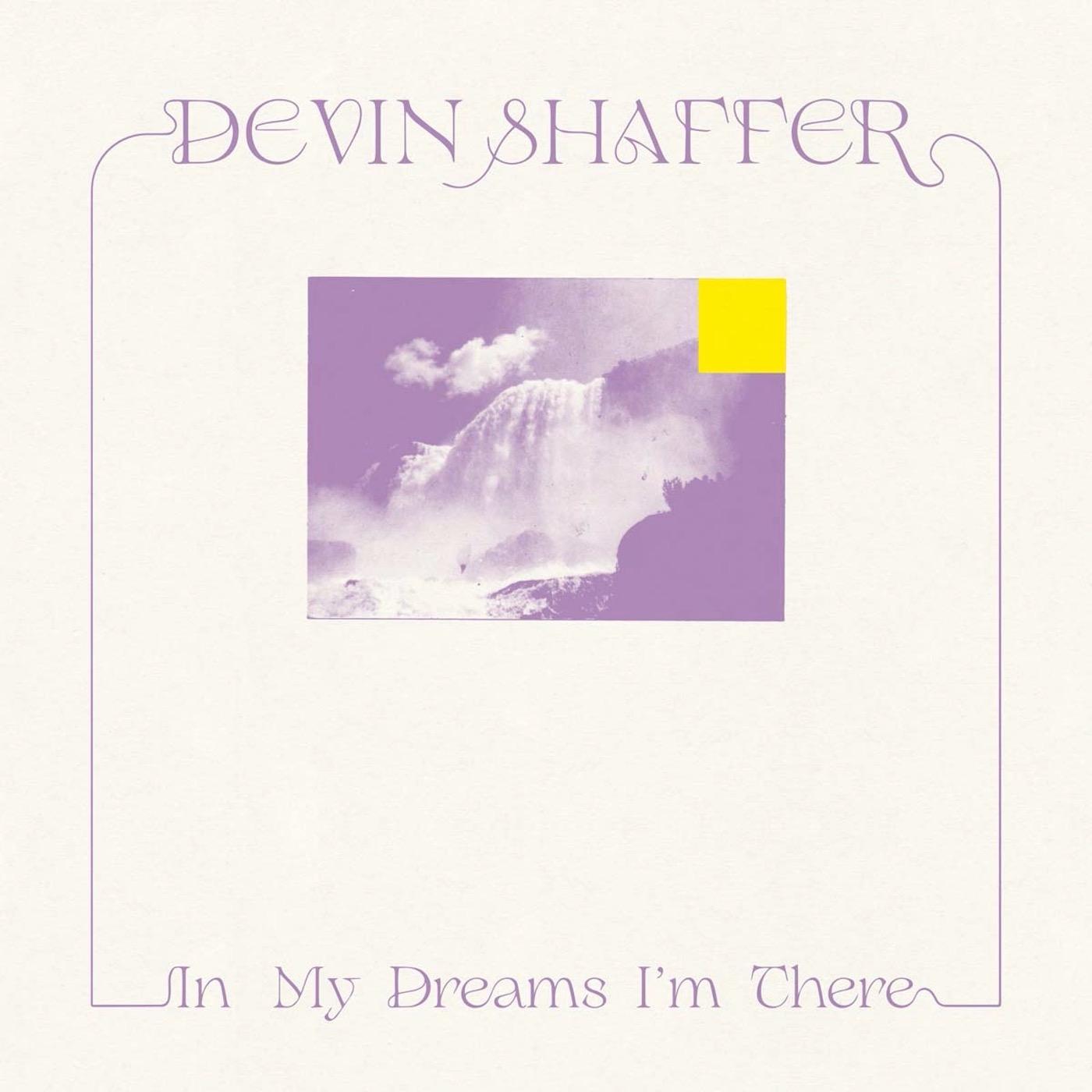 In My Dreams I'm There Vinyl Record