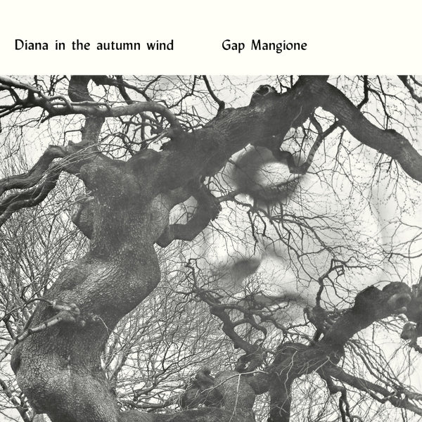 Diana In The Autumn Wind [Vinyl] Vinyl Record