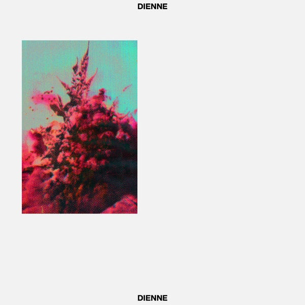 DIENNE - Addio Vinyl Record