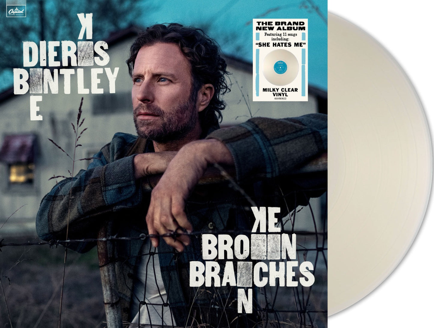 Broken Branches (Indie Exclusive Milky Clear Vinyl) Vinyl Record