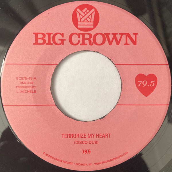 Terrorize My Heart (Disco Dub)  Generic Vinyl Record