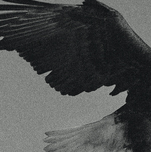 Over The Sand Vinyl Record