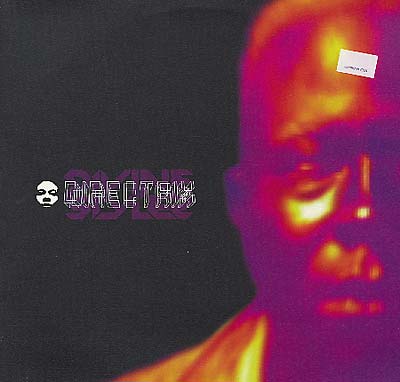 DIVINE STYLER - Directrix Vinyl Record