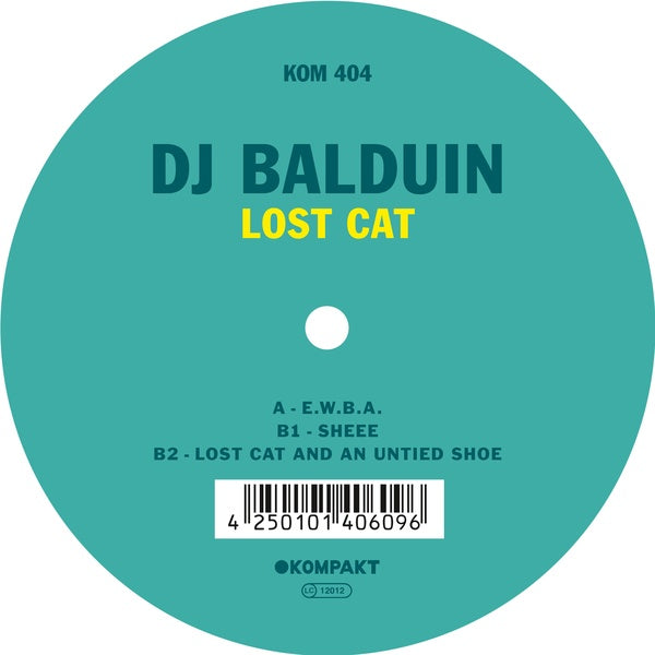 Lost Cat Vinyl Record